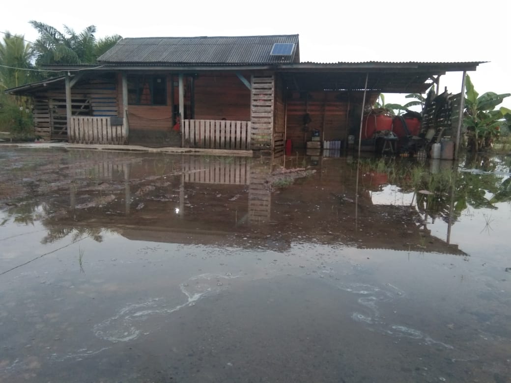 Dampak Air Pasang Sejumlah Rumah Warga Desa Sumber Makmur Banjir